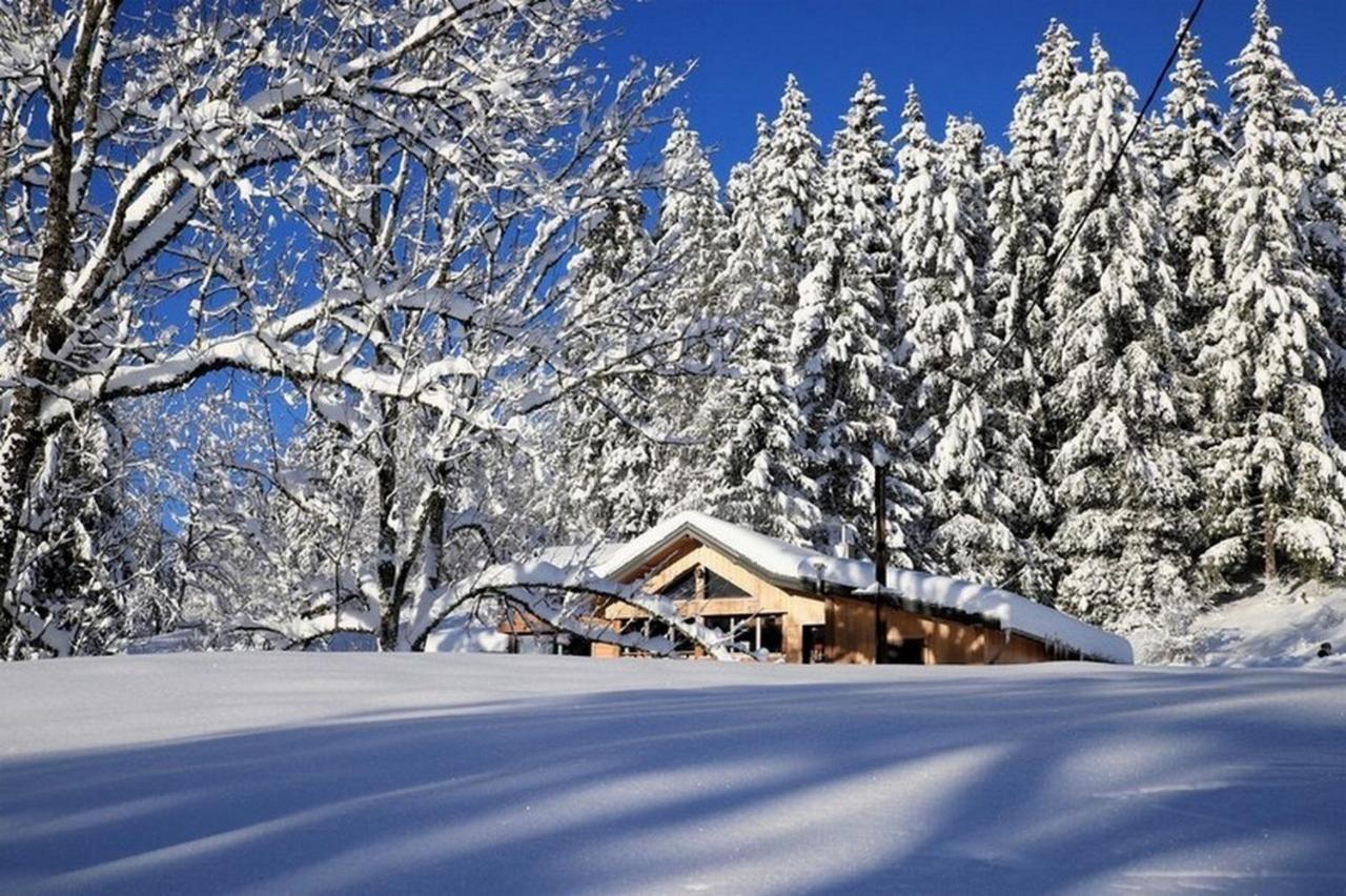 Chalet Le Petit Jura Villa Morbier Exterior foto